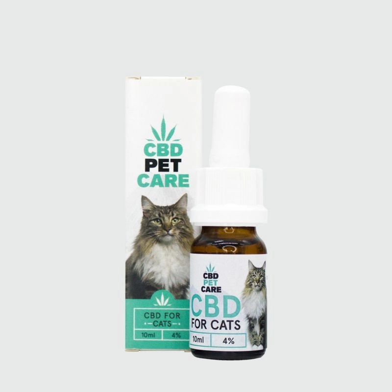 low_CBW-PET-CARE-Olio-cbd-gatti-800x800