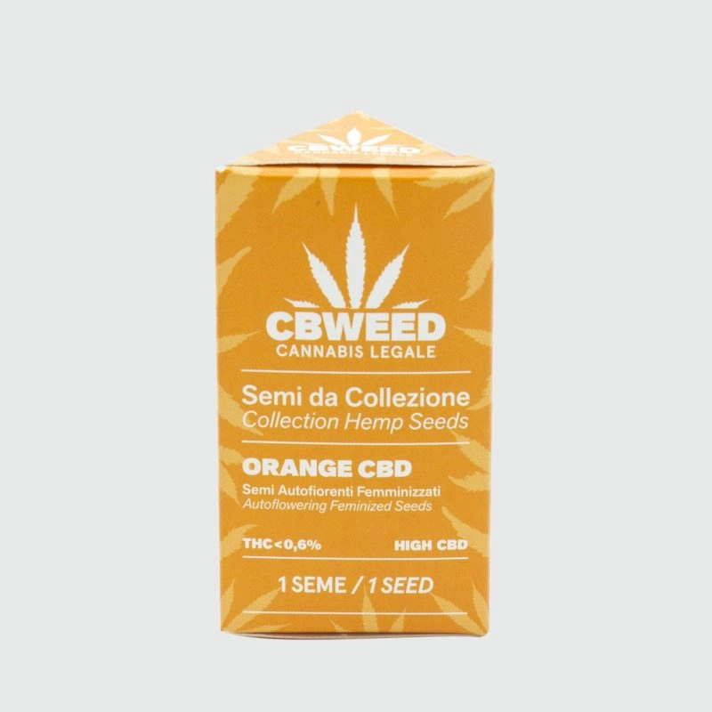 low_CBW-Semi-Orange-CBD-800x800